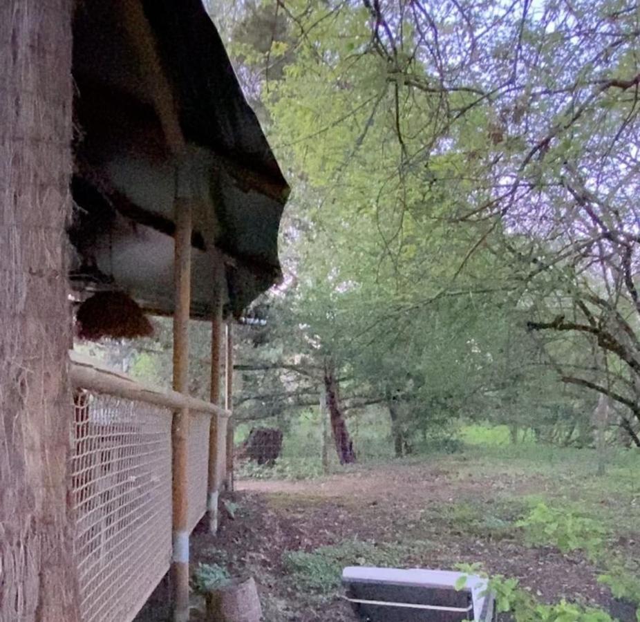 Ecolodge Beauregard Treigny Zewnętrze zdjęcie