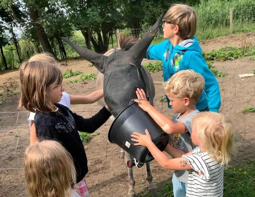 Ecolodge Beauregard Treigny Zewnętrze zdjęcie
