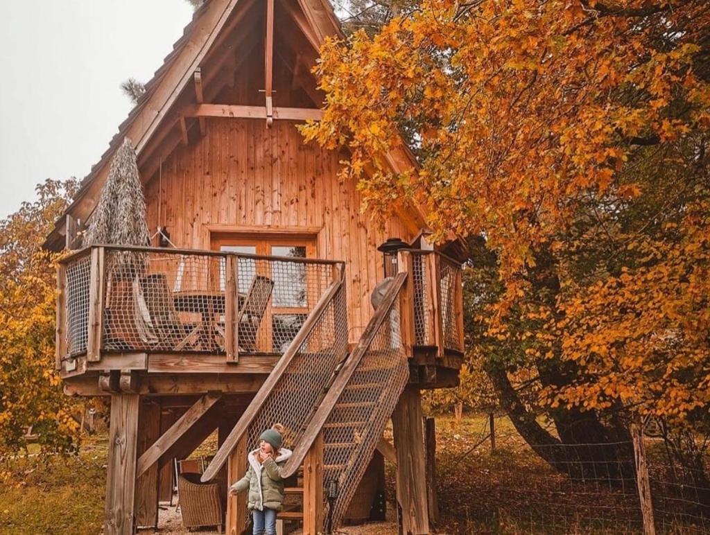 Ecolodge Beauregard Treigny Zewnętrze zdjęcie