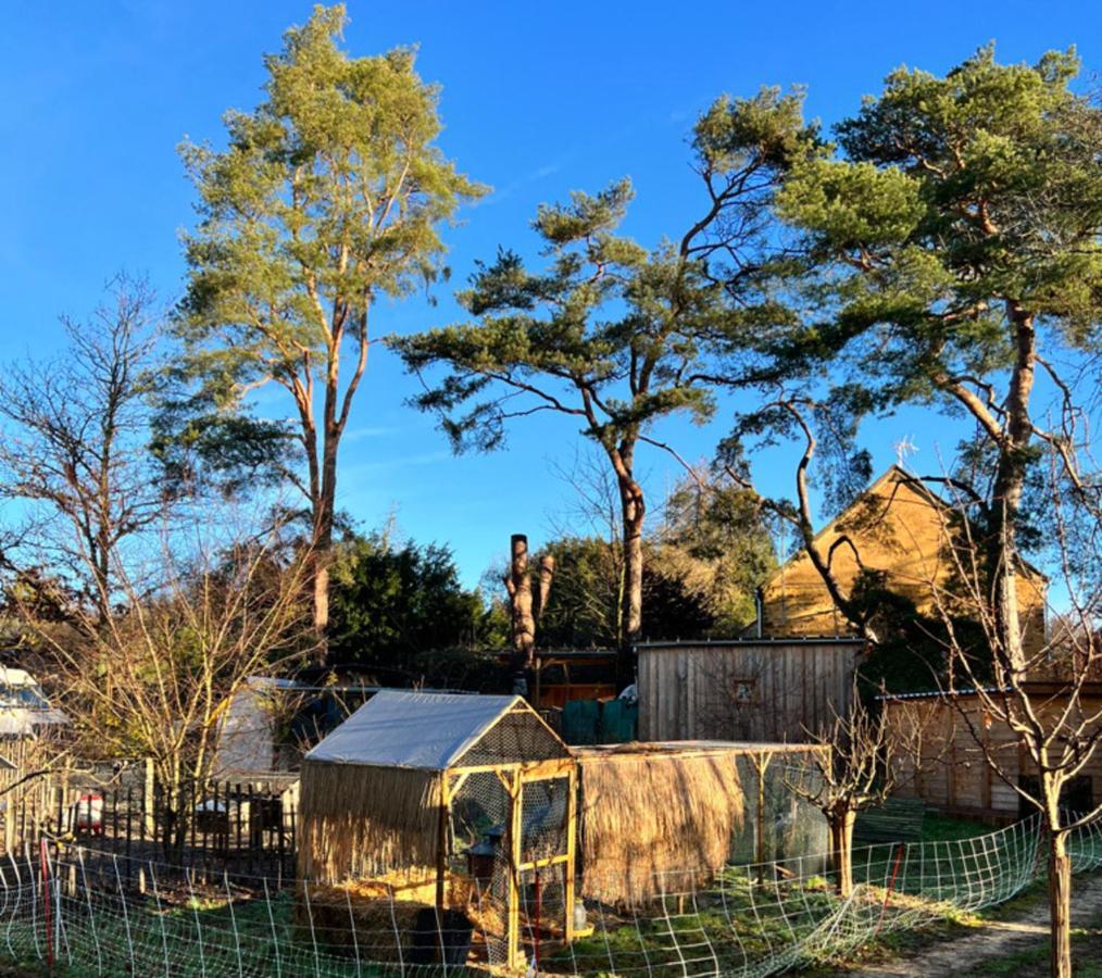 Ecolodge Beauregard Treigny Zewnętrze zdjęcie