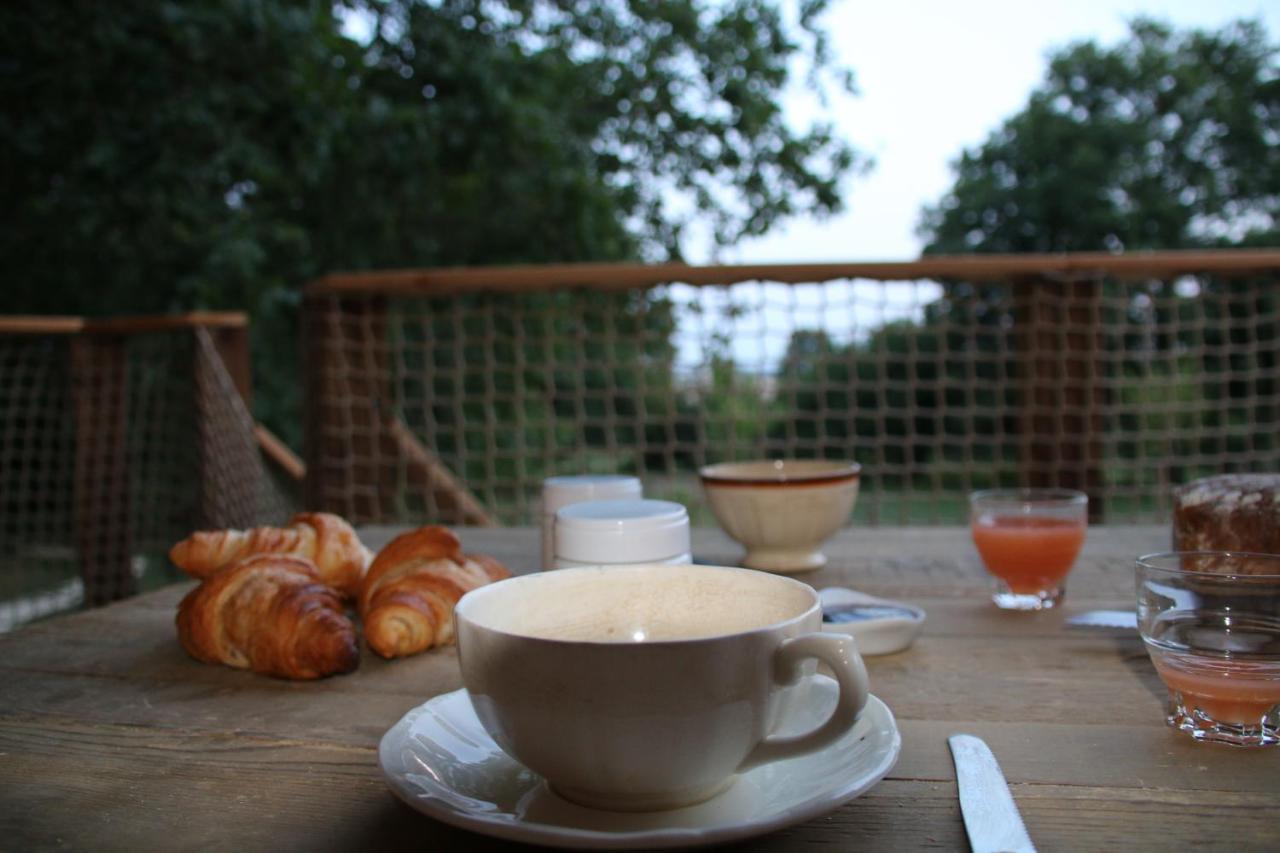 Ecolodge Beauregard Treigny Zewnętrze zdjęcie