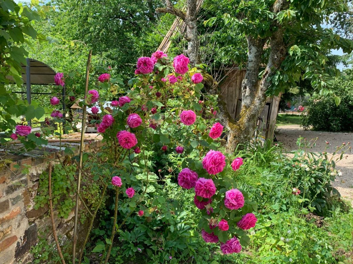 Ecolodge Beauregard Treigny Zewnętrze zdjęcie
