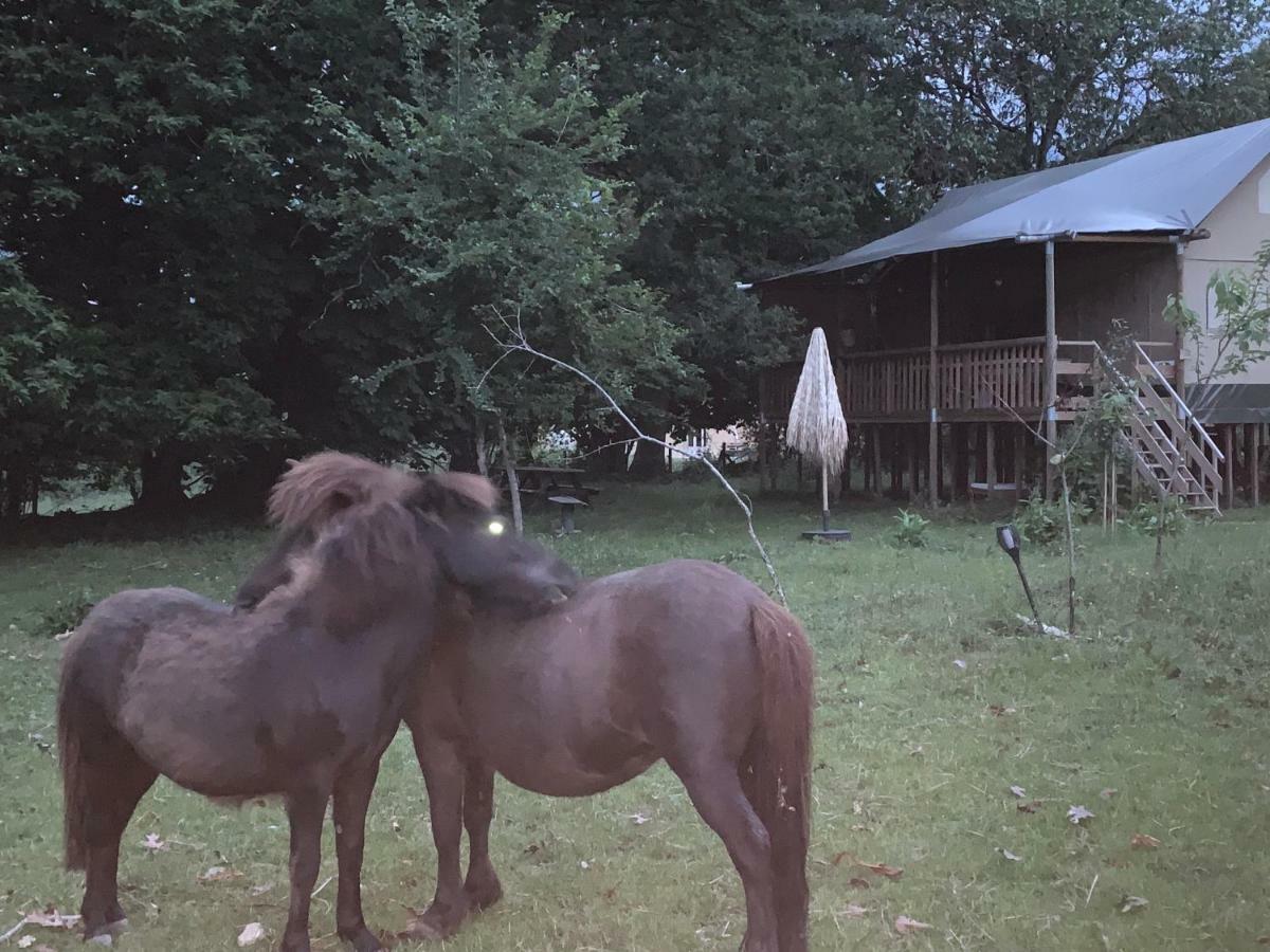 Ecolodge Beauregard Treigny Zewnętrze zdjęcie