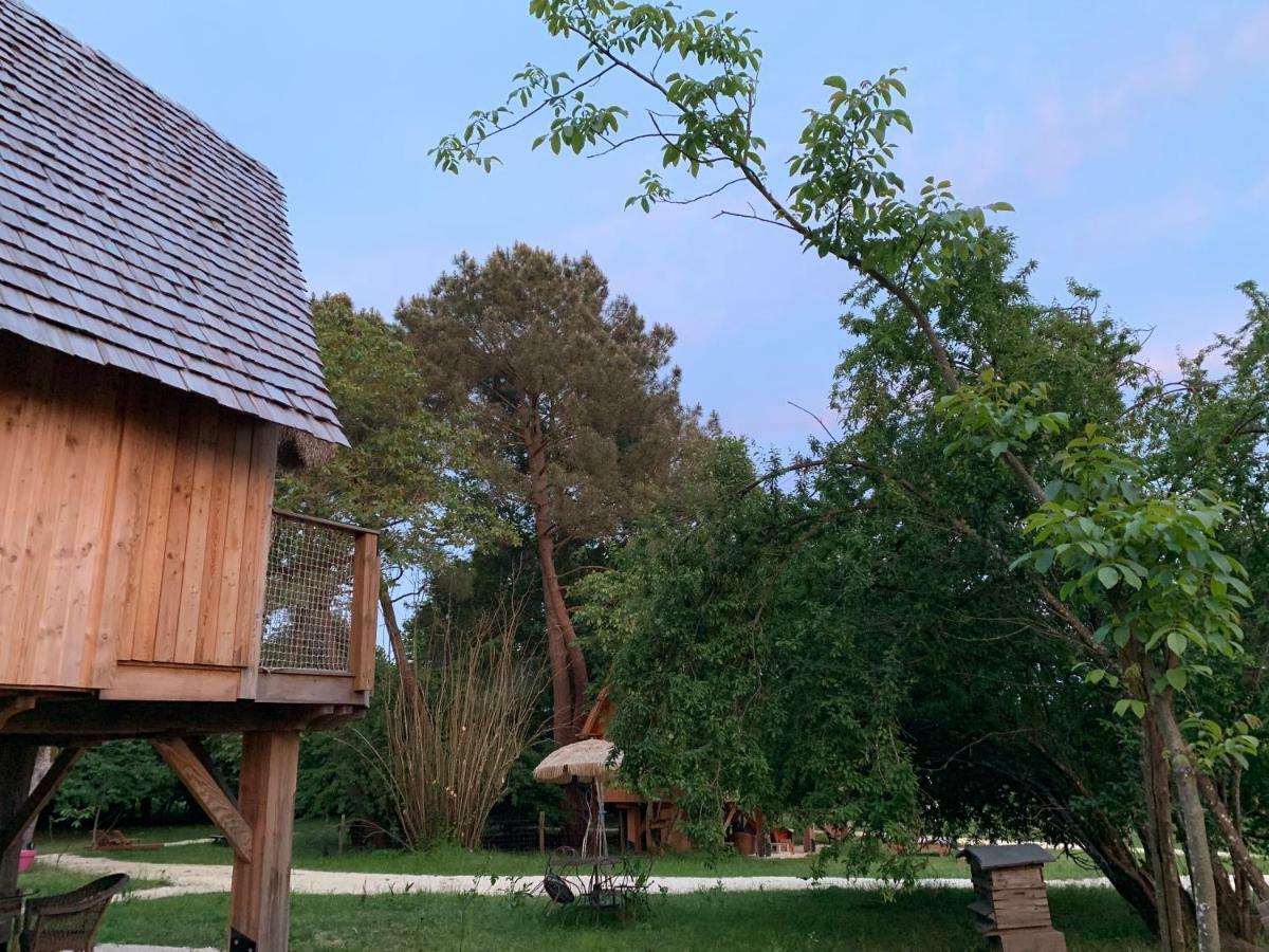 Ecolodge Beauregard Treigny Zewnętrze zdjęcie