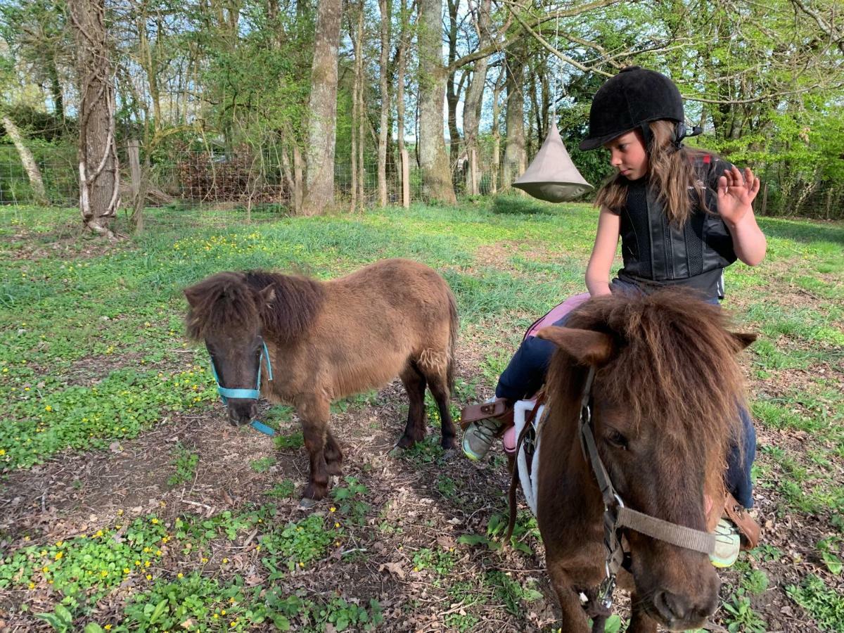 Ecolodge Beauregard Treigny Zewnętrze zdjęcie