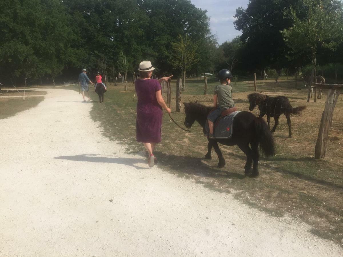 Ecolodge Beauregard Treigny Zewnętrze zdjęcie